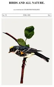 Birds and All Nature, Vol. 6, No. 1, June 1899: Illustrated by Color Photography — Various cover