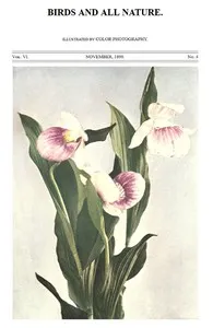 Birds and All Nature, Vol. 6, No. 4, November 1899: In Natural Colors — Various cover