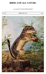 Birds and All Nature, Vol 7, No. 2, February 1900: Illustrated by Color Photography — Various cover
