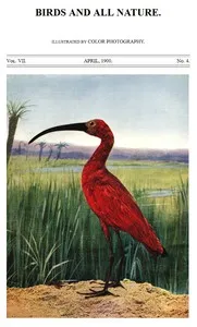 Birds and All Nature, Vol. 7, No. 4, April 1900 — Various cover