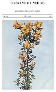 Birds and All Nature, Vol. 7, No. 5, May 1900: Illustrated by Color Photography — Various cover