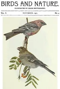 Birds and Nature, Vol. 10 No. 4 [November 1901] — Various cover