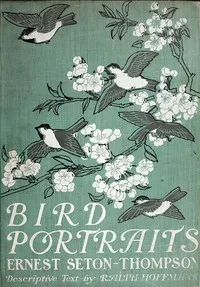 Bird Portraits — Anonymous cover