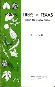 Forest Trees of Texas: How to Know Them — Wilbur R. (Wilbur Reed) Mattoon cover