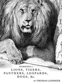 Engravings of Lions, Tigers, Panthers, Leopards, Dogs, &c. — Anonymous cover