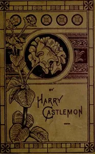 Don Gordon's Shooting-Box — Harry Castlemon cover