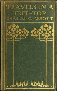 Travels in a Tree-top — Charles C. (Charles Conrad) Abbott cover