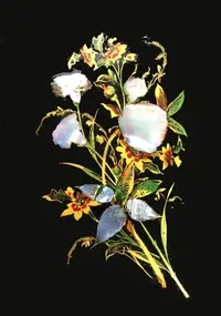 The Iris: An Illuminated Souvenir for MDCCCLII cover