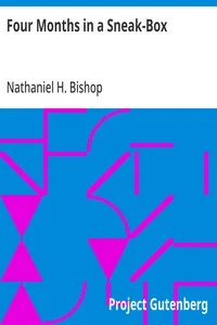 Four Months in a Sneak-Box: A Boat Voyage of 2600 Miles Down the Ohio and Mississippi Rivers, and Along the Gulf of Mexico — Nathaniel H. (Nathaniel Holmes) Bishop cover