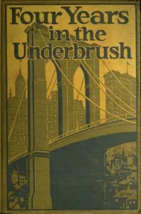 Four Years in the Underbrush: Adventures as a Working Woman in New York — Anonymous cover