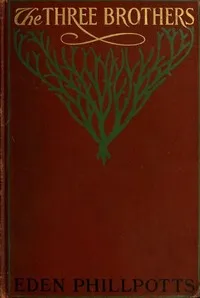 The Three Brothers — Eden Phillpotts cover