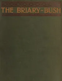 The Briary Bush: A Novel cover