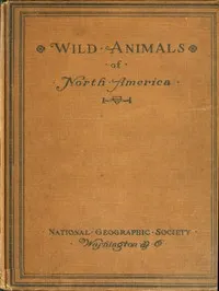 Wild Animals of North America: Intimate Studies of Big and Little Creatures of the Mammal Kingdom — Edward William Nelson cover