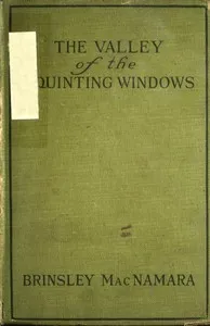 The Valley of Squinting Windows — Brinsley MacNamara cover