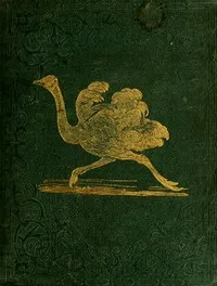 Tales About Birds, Illustrative of Their Nature, Habits, and Instincts — Thomas Bingley cover