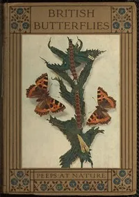 British Butterflies — Alexander Morrison Stewart cover
