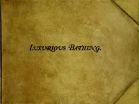 Luxurious Bathing — Andrew White Tuer cover