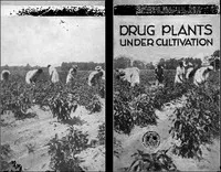 Drug Plants Under Cultivation cover