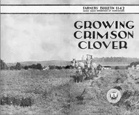 Growing Crimson Clover — L. W. (Leonard Wheeler) Kephart cover