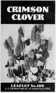 Crimson Clover [1947] — E. A. (Eugene Amos) Hollowell cover
