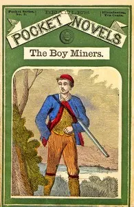 The Boy Miners; Or, The Enchanted Island, A Tale of the Yellowstone Country — Edward Sylvester Ellis cover