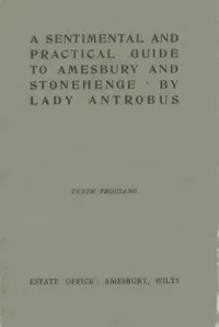A sentimental & practical guide to Amesbury and Stonehenge — Florence Caroline Mathilde Sartoris, Lady Antrobus cover