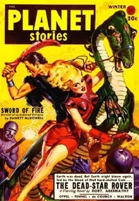 Sword of Fire — Robert Emmett McDowell cover