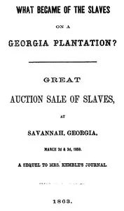 What Became of the Slaves on a Georgia Plantation?: Great Auction Sale of Slaves, at Savannah, Georgia, March 2d & 3d, 1859 — Q. K. Philander Doesticks cover