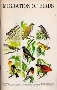 Migration of Birds (1979) cover