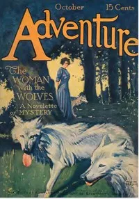 A Point of Testimony — Carolyn Wells cover