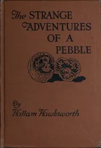 The Strange Adventures of a Pebble — Hallam Hawksworth cover