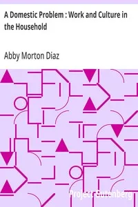 A Domestic Problem : Work and Culture in the Household — Abby Morton Diaz cover