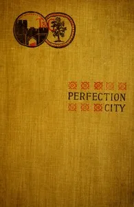 Perfection City — Adela E. (Adela Elizabeth Richards) Orpen cover