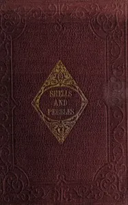 Shells and pebbles: A story for children — Anonymous cover