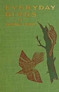 Everyday birds: Elementary studies — Bradford Torrey cover