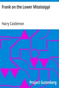 Frank on the Lower Mississippi — Harry Castlemon cover