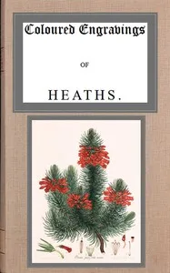 Coloured engravings of heaths; vol. 2 — Henry Cranke, active 1799-1828 Andrews cover