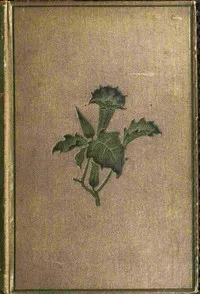 Torwood's trust : $b A novel (Vol. 1 of 3) — Evelyn Everett-Green cover