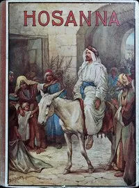 Hosanna: Bible stories retold — Catharine Shaw cover