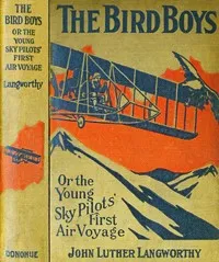 The Bird boys: Or, the young sky pilots' first air voyage — John Luther Langworthy cover