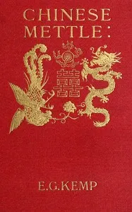 Chinese mettle cover
