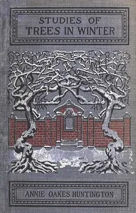 Studies of trees in winter : $b A description of the deciduous trees of northeastern America — Annie Oakes Huntington cover