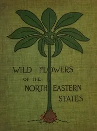 Wild flowers of the north-eastern states : $b Being three hundred and eight individuals common to the north-eastern United States — Ellen Miller cover