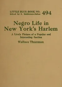 Negro life in New York's Harlem: A lively picture of a popular and interesting section — Wallace Thurman cover