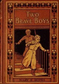 Two brave boys, and, The wrong twin — Mary E. (Mary Emily) Ropes cover