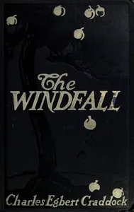 The windfall: a novel — Charles Egbert Craddock cover