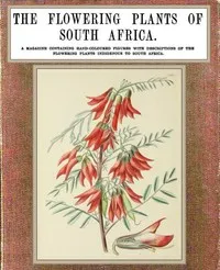 The flowering plants of South Africa; vol. 5 — I. B. (Illtyd Buller) Pole Evans cover