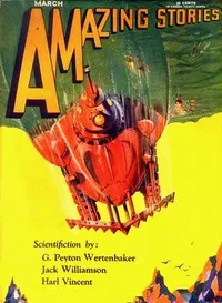 The mordant — Merab Eberle cover