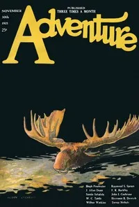 The sheriff of Sun-Dog — W. C. (Wilbur C.) Tuttle cover
