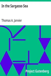 In the Sargasso Sea: A Novel cover